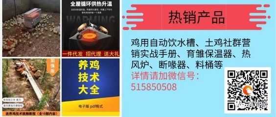 2019年5月31日全國肉毛雞市場價格分析與行情參考